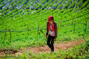 BIB: 
                            <button type="button" onclick="openModal(19164219)" class="btn btn-primary btn-sm float-right btn-popup" data-toggle="modal" data-target=".modal-high-quality">
                        <i class="fas fa-shopping-cart"></i> Add to Cart
                    </button>
                                            <button type="button" onclick="isThisMe(19164219, true)" class="btn btn-success btn-sm float-right btn-popup btn-isme hidden" data-toggle="tooltip" data-placement="bottom" title="นี่คือรูปของคุณใช่ไหม คลิกที่นี่เพื่อเอาเข้าอัลบั้ม">
                        <i class="fas fa-plus"></i> Add to album
                    </button>
                    <button type="button" onclick="isThisMe(19164219, false)" class="btn btn-warning btn-sm float-right btn-popup btn-isnotme hidden">
                        <i class="fas fa-ban"></i> Remove from album
                    </button>